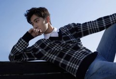 ��Ф�õĲ�����Σ���Ф�õ������츳����ҵͷ��