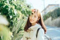 ��������������ѯ�����������������в�ѯ