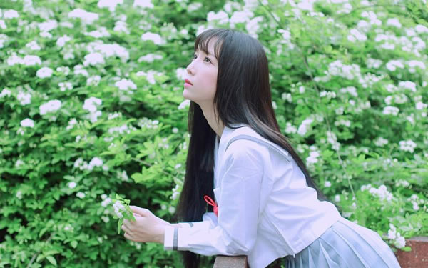 从动物习性看属狗人的社交天赋