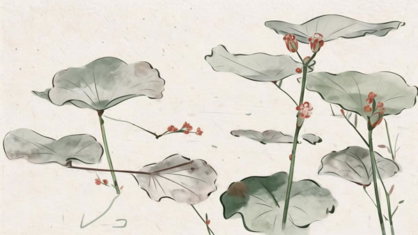 ������ô��ʲôʱ�����ת�ˣ������ӵ�ͷ����