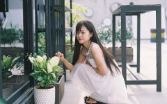 ������2026��3���������,���˽���