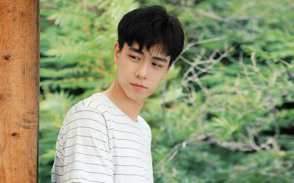 �ɰ�ľ�������˵��������